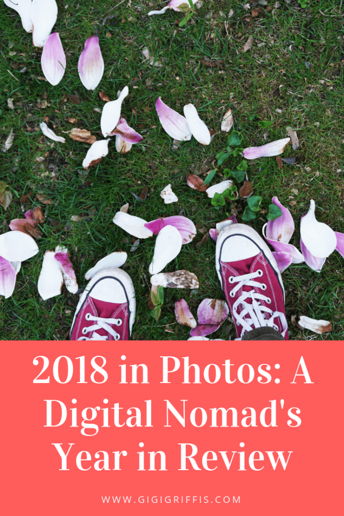 A digital nomad's year in review