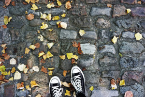 converse shoes against fall leaves