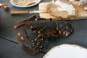 lobster in brittany