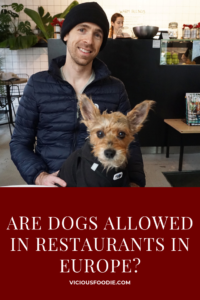 are dogs allowed in restaurants in europe?