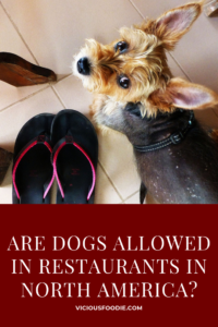 north america dog friendly restaurants