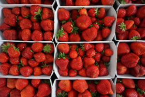 strawberries at fribourg market