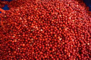 tallinn central market berries