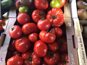 tomatoes in Bourges