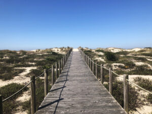 A wooden walking path leads through sand dunes up toward blue sky and presumably down toward a beach